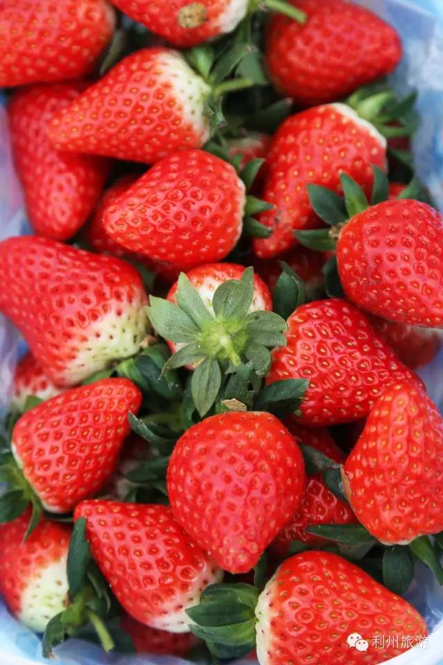 广元凤台国际大酒店_广元凤台宾馆经营权_长隆国际大马戏酒店