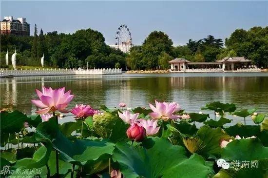 凤台淮河大桥_新秦淮河大桥 板桥_河南固始淮河新大桥什么时候能建好?