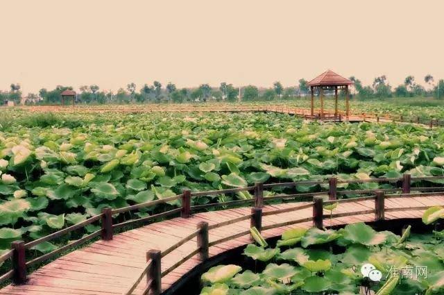 新秦淮河大桥 板桥_河南固始淮河新大桥什么时候能建好?_凤台淮河大桥