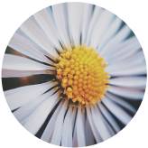 凤台一中2016年高考录取人数_2016年滦平一中录取分数线_凤台一中录取分数线