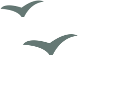 安徽省凤台精忠中学跳楼_凤台精忠中学鲍正国_凤台精忠中学岳大志