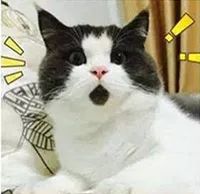 凤台租房信息_凤台公租房信息_凤台 租房