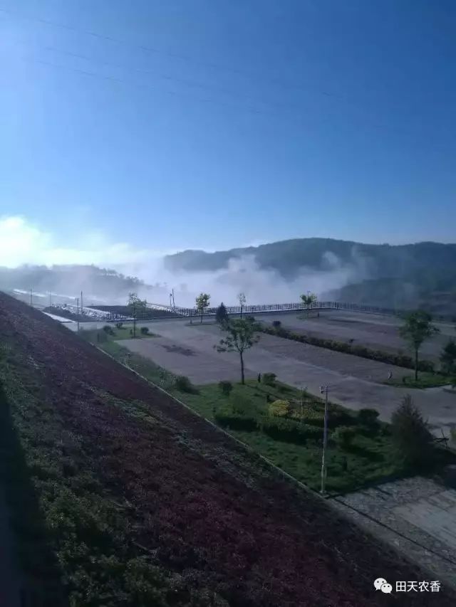 栖里凤台山庄_栖山庄赛美蓉长相思白葡萄酒_开发区栖里凤台山庄3期