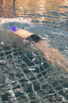 栖山庄赛美蓉长相思白葡萄酒_栖里凤台山庄_开发区栖里凤台山庄3期