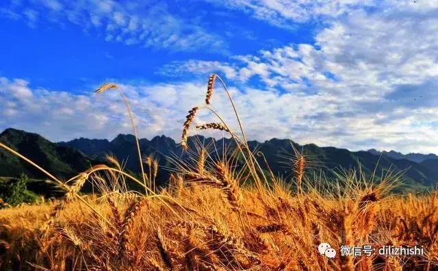 乡镇贯彻落实县两会精神_凤台县乡镇地图_新晃县中寨镇乡镇府