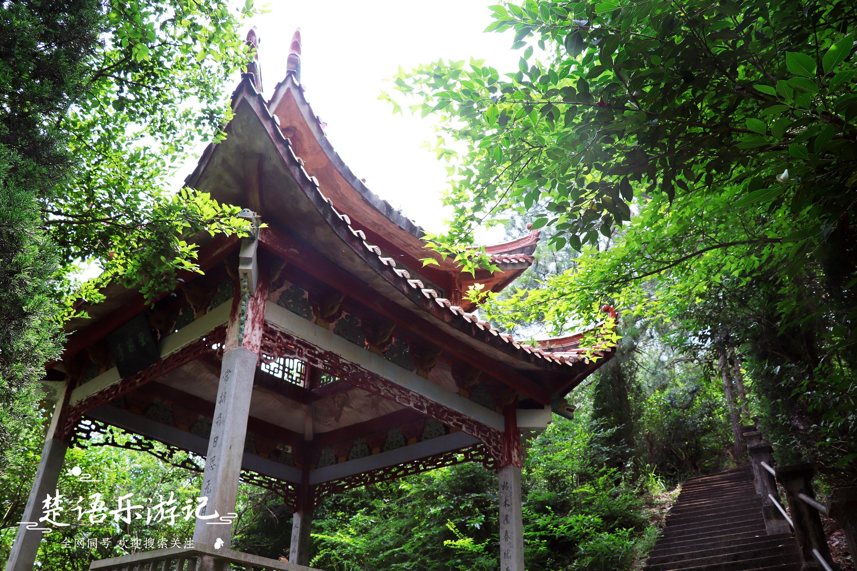 中国凤台_凤台村_导航泰安市泰山区凤台村