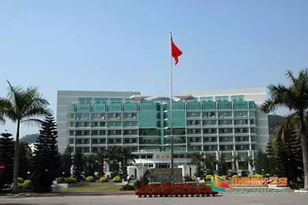 凤台一中银杏树图片_凤台小鱼网凤台实验小学_凤台古城宿舍图片