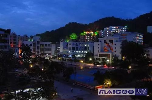 凤台古城宿舍图片_凤台一中银杏树图片_凤台小鱼网凤台实验小学