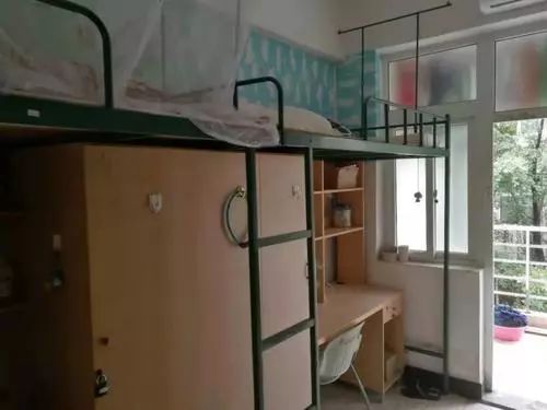 凤台古城宿舍图片_凤台小鱼网凤台实验小学_凤台一中银杏树图片