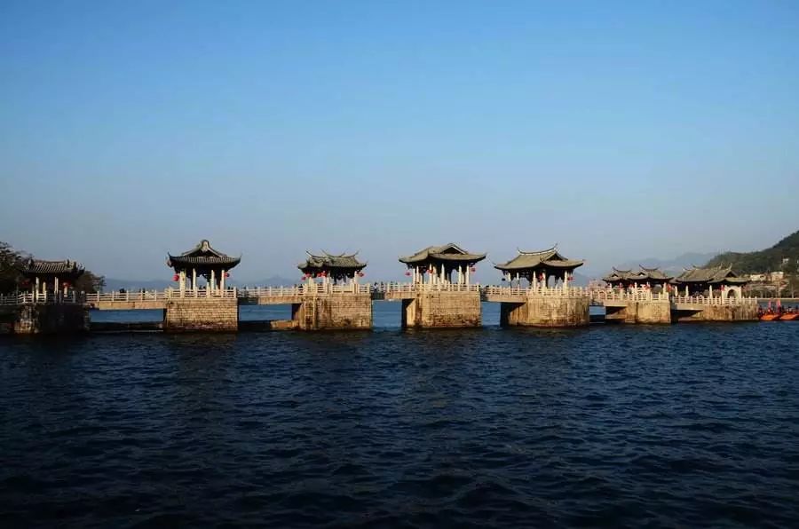 凤台古城宿舍图片_凤台一中银杏树图片_凤台小鱼网凤台实验小学