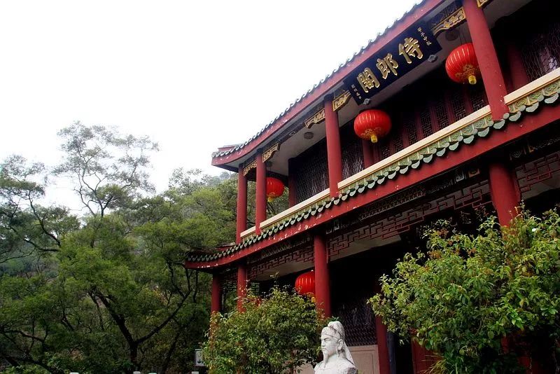 凤台古城宿舍图片_凤台小鱼网凤台实验小学_凤台一中银杏树图片