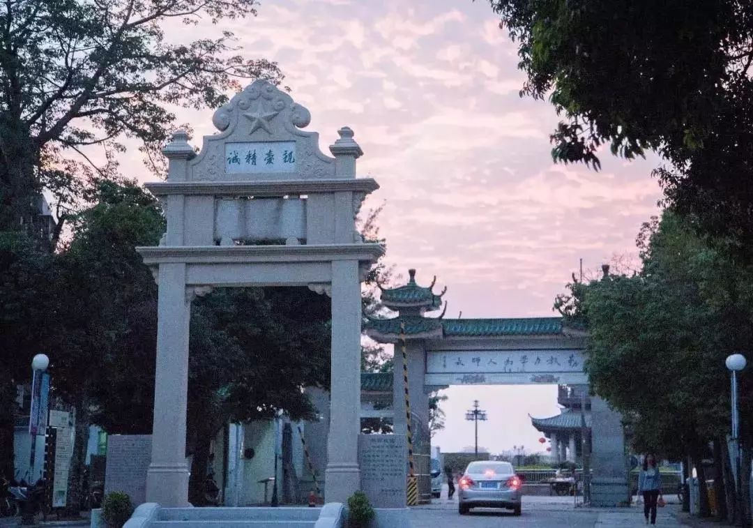 凤台古城宿舍图片_凤台一中银杏树图片_凤台小鱼网凤台实验小学