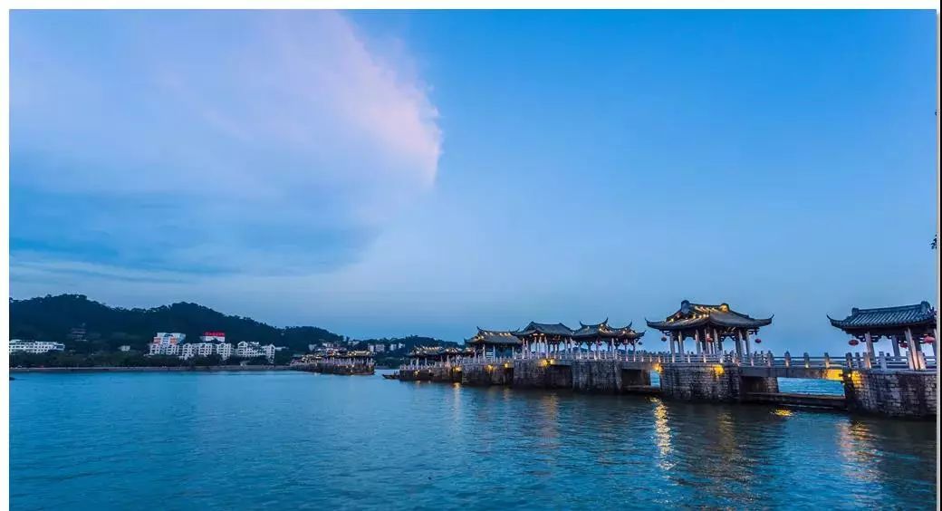 凤台古城宿舍图片_凤台一中银杏树图片_凤台小鱼网凤台实验小学