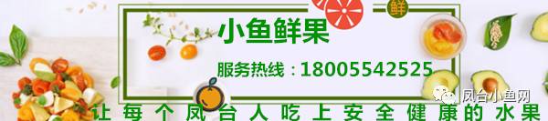 淮南凤台交警支队_淮南凤台火车票代售点电话_凤台到淮南东站