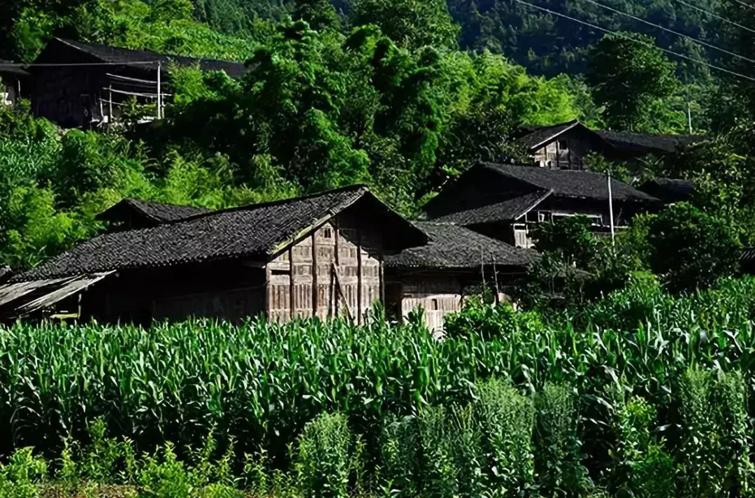 凤台南站离凤台多远_凤台村_导航泰安市泰山区凤台村