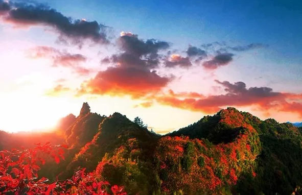 凤台村_导航泰安市泰山区凤台村_凤台南站离凤台多远