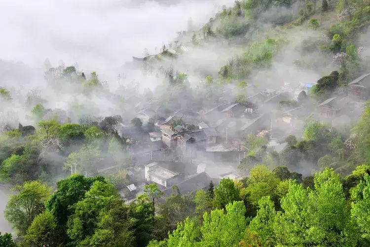 导航泰安市泰山区凤台村_凤台村_凤台南站离凤台多远
