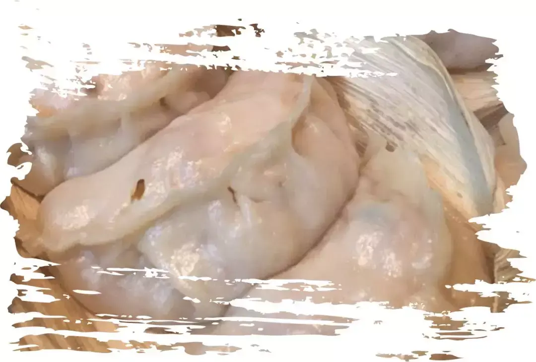 老牌坊鱼火锅_长春老牌坊鱼豆花火锅_凤台香牌坊火锅