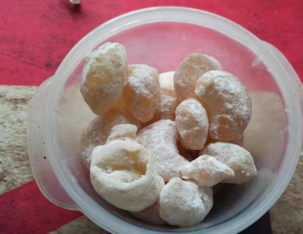 霉霉小狼人泰勒_霉霉小kk出柜_凤台有什么好吃的