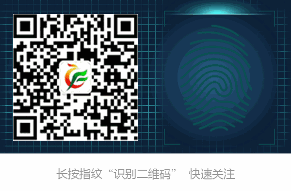 淮河北岸支流_淮河的北岸是什么平原_凤台县乡镇地图