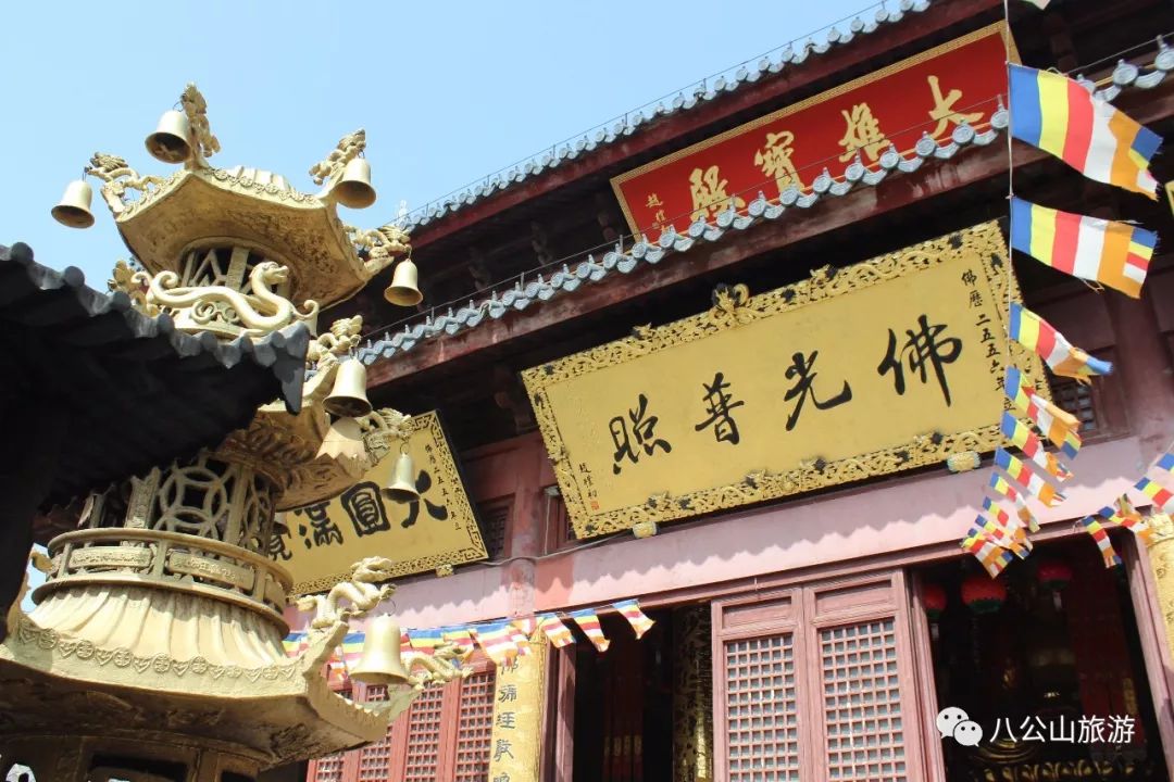 凤台县第一中学银杏树_凤台一中银杏树_凤台县银杏树千年变红场景