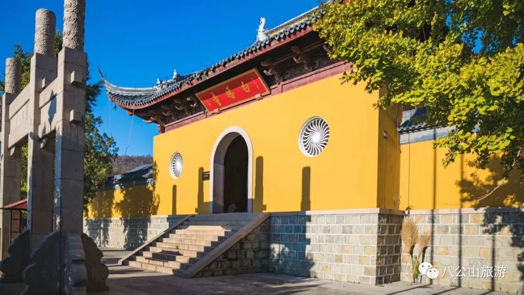 凤台县第一中学银杏树_凤台一中银杏树_凤台县银杏树千年变红场景