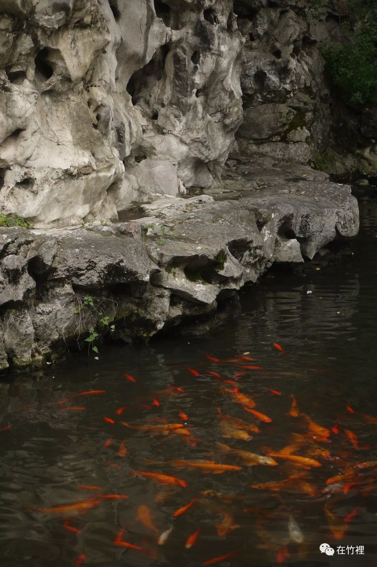 栖里凤台山庄_栖里凤台山庄户型_栖里凤台山庄二手房多层