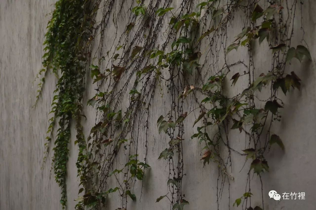 栖里凤台山庄户型_栖里凤台山庄_栖里凤台山庄二手房多层