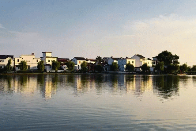 凤台县政府网官员名单_凤台县政府主任_凤台领导班子