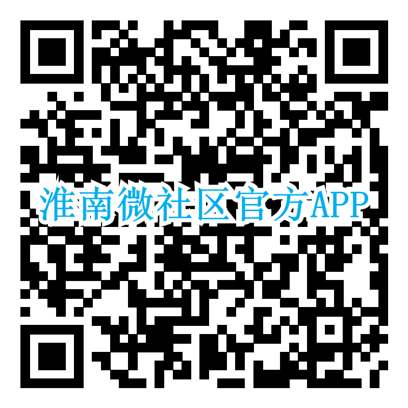 淮南南站到凤台南站多少钱_淮南火车站到凤台的大巴车_淮南站到凤台