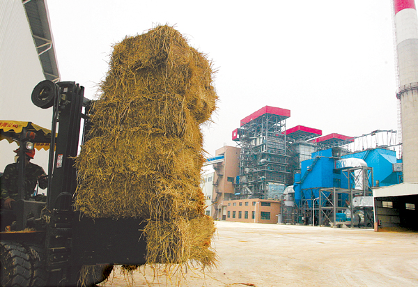 凤台发电厂是国企吗_凤台电厂是不是只收一本_凤台发电分公司