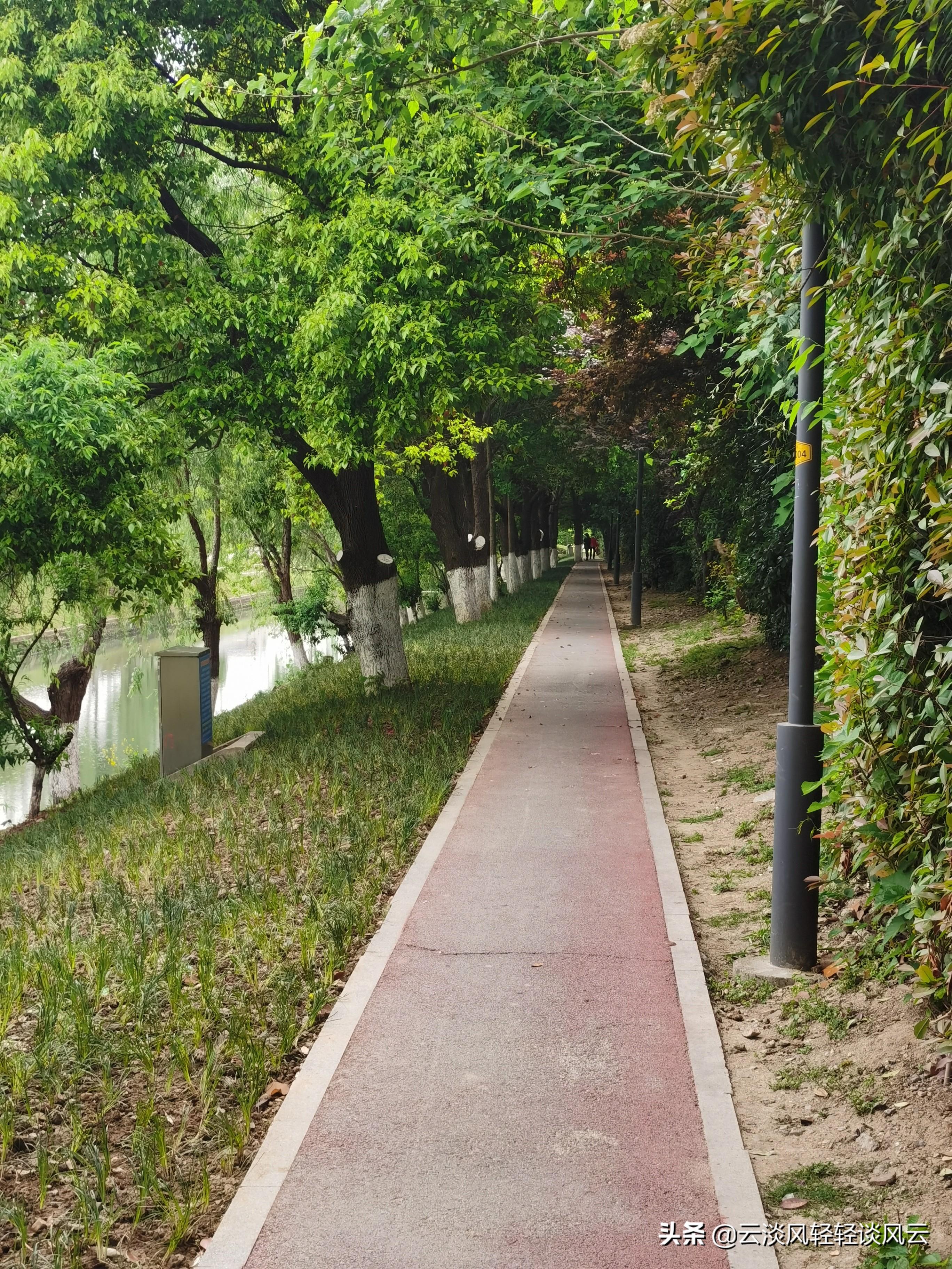 合肥凤台路小区租房_凤鸣路凤台路口_凤台路