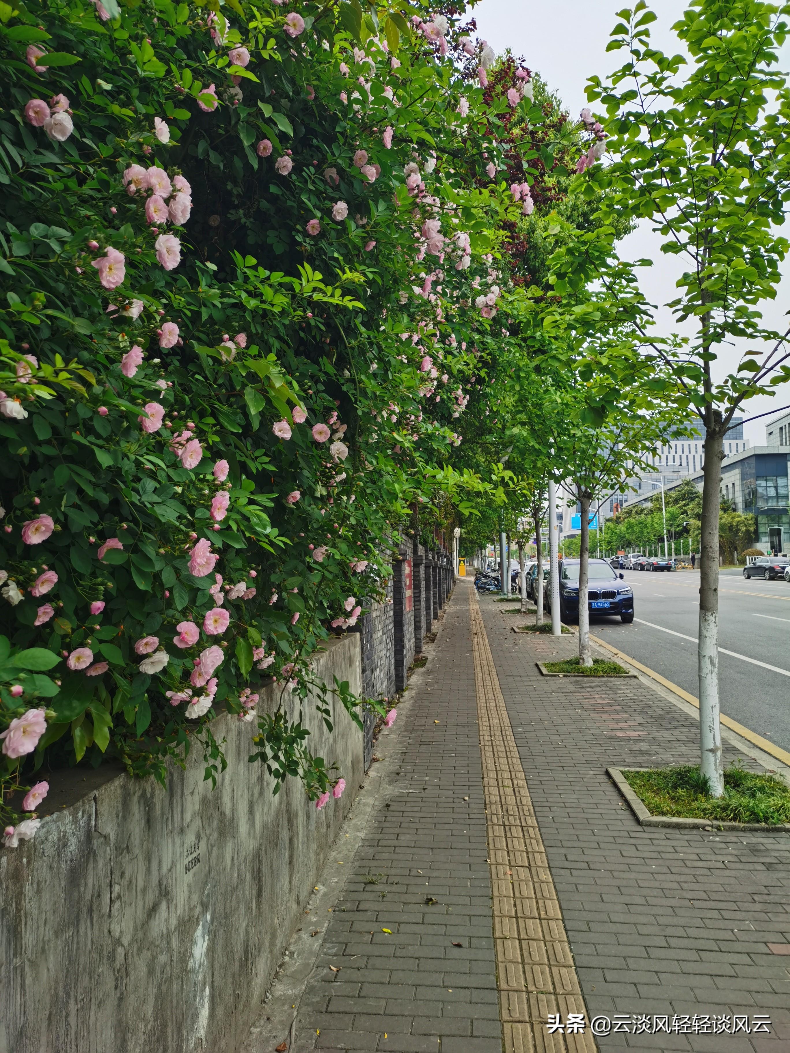 合肥凤台路小区租房_凤台路_凤鸣路凤台路口