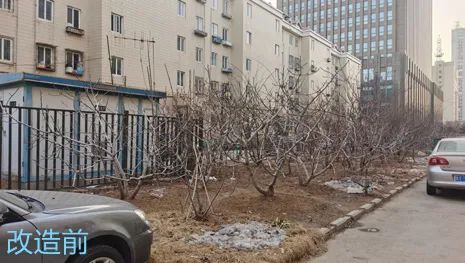 山东省烟台市开发区凤台小区_烟台开发区凤台小区_烟台经济技术开发区凤台小区