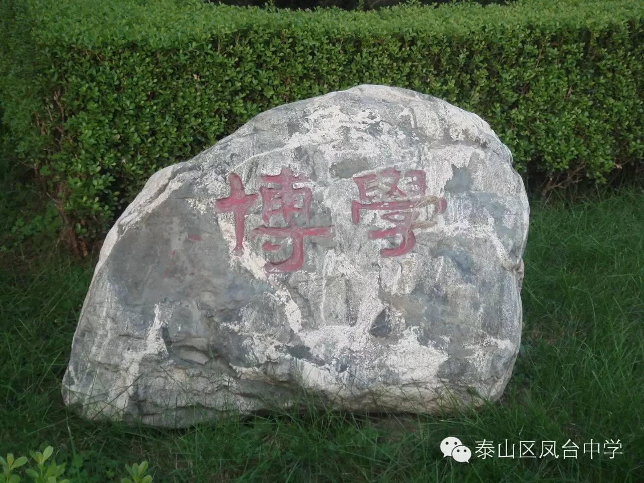 泰山区凤台学校_泰山中学要搬迁吗_泰山区凤台中学