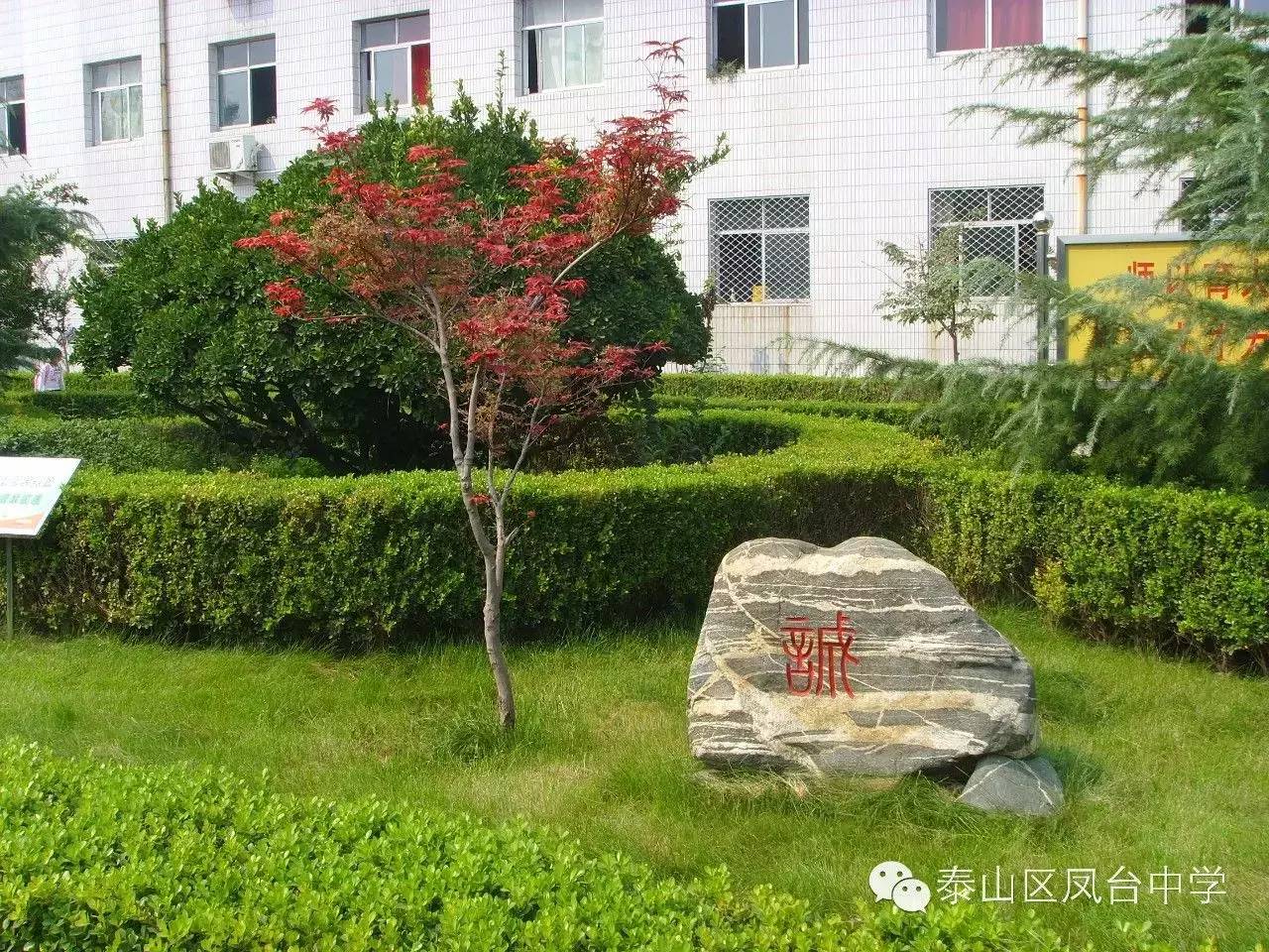 泰山区凤台学校_泰山区凤台中学_泰山中学要搬迁吗