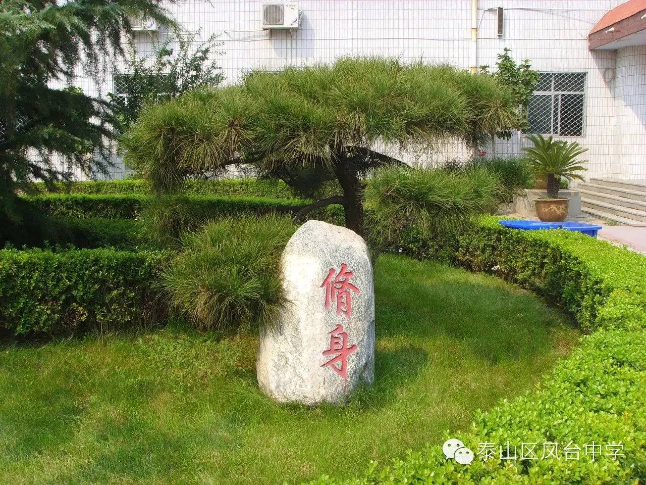 泰山区凤台中学_泰山区凤台学校_泰山中学要搬迁吗