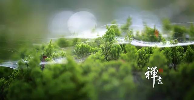 职场救赎：写给迷茫中的草根族