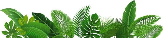 职场压力认知与管理技巧_职场中的压力管理_职场压力管理技巧心得体会