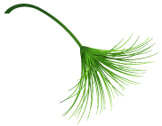 职场压力认知与管理技巧_职场中的压力管理_职场压力管理技巧心得体会