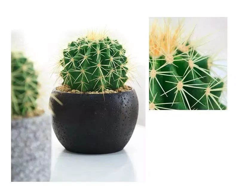 职场风水招财_职场风水哪个方位好_职场 风水