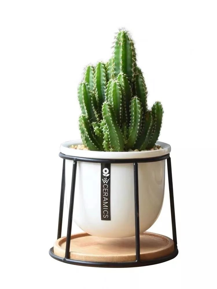 职场风水招财_职场 风水_职场风水哪个方位好