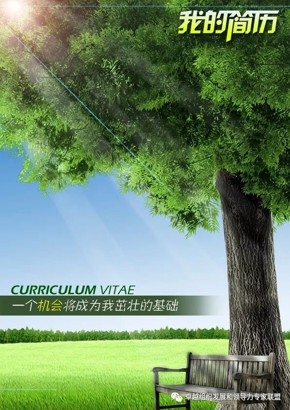 个性简历_简历个性描述怎么写_简历个性标签8个字以内