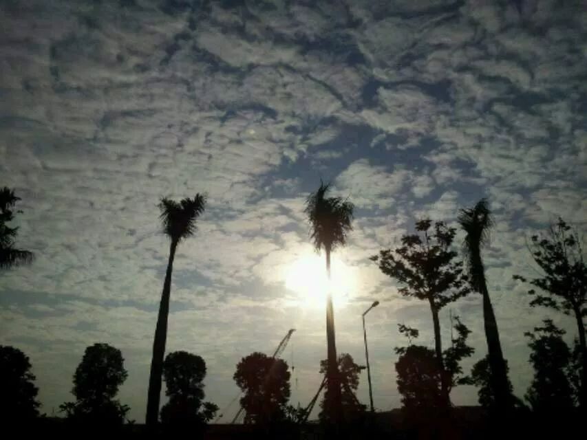 深圳英语培训机构招聘_深圳英语培训一般多少钱啊_深圳职场英语培训班