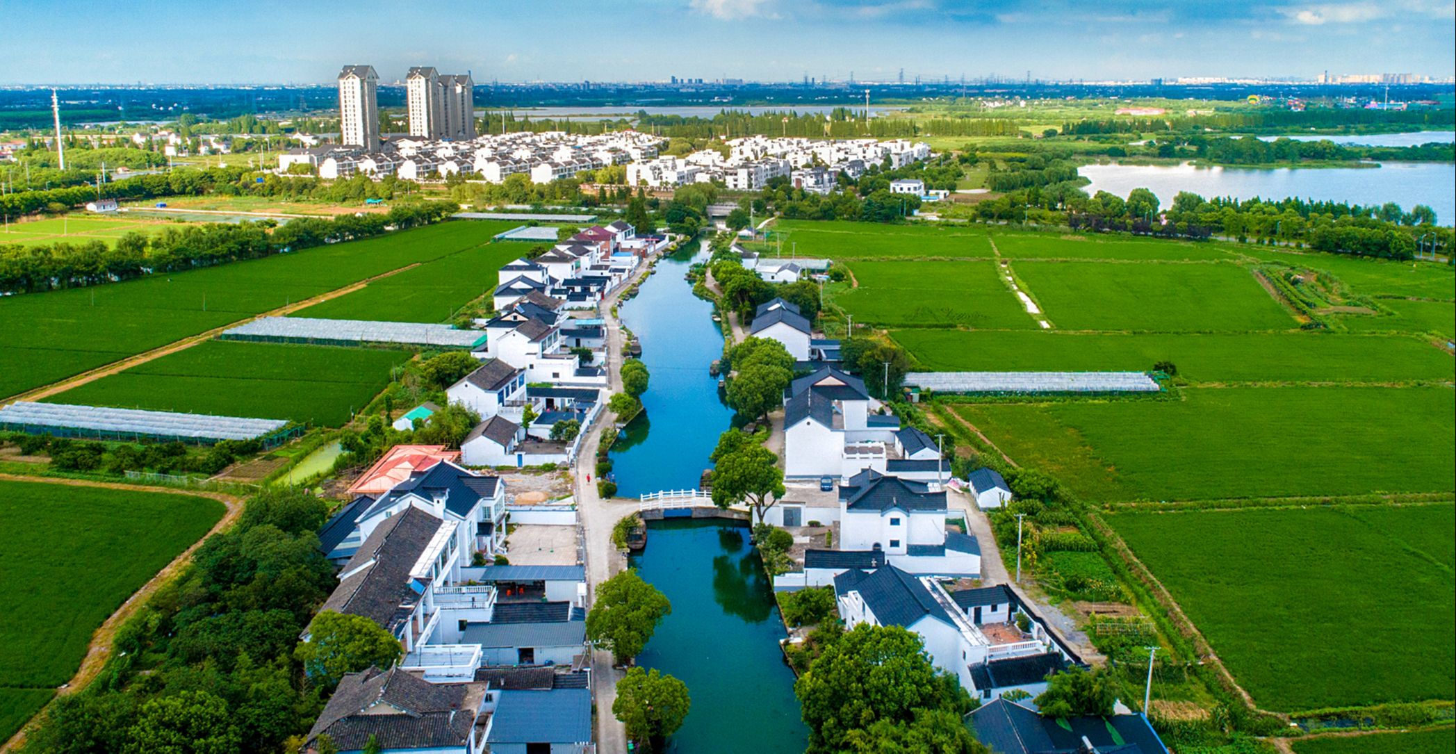 萝卜招聘违法吗_安徽省凤台县城北湖排涝站暗箱操作萝卜招聘_萝卜招聘是什么