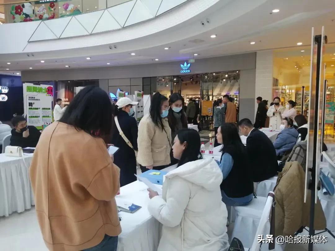 哈市招聘_哈市最近招聘信息_哈市招聘网