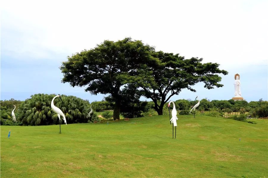 三亚南山迎宾馆招聘_三亚南山迎宾馆图片_三亚南山景区招聘信息