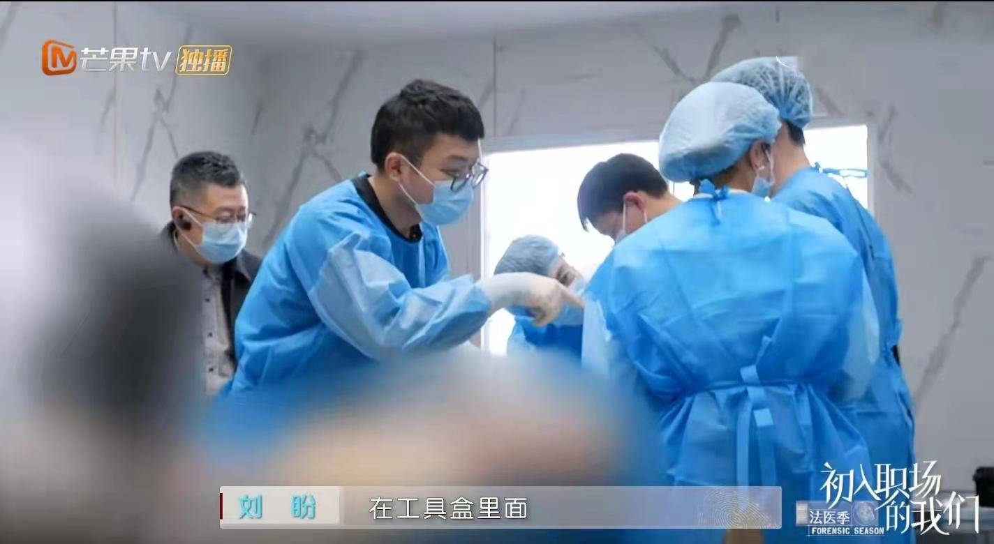 国外职场综艺节目_职场类综艺节目2021_国内职场综艺