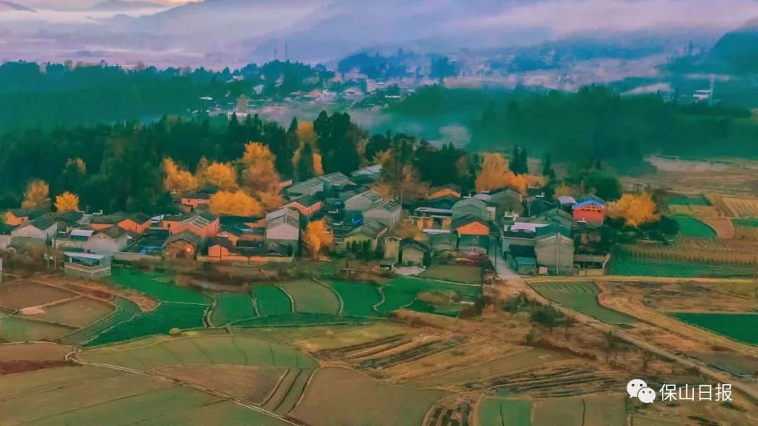 中国银杏第一村落:天时地利人合终于有机会身临其境(图8) 安徽淮南凤台一中银杏树_凤台一中银杏树的故事_凤台一中银杏树