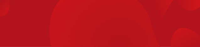 安徽淮南凤台一中银杏树_凤台一中银杏树_凤台县第一中学银杏树